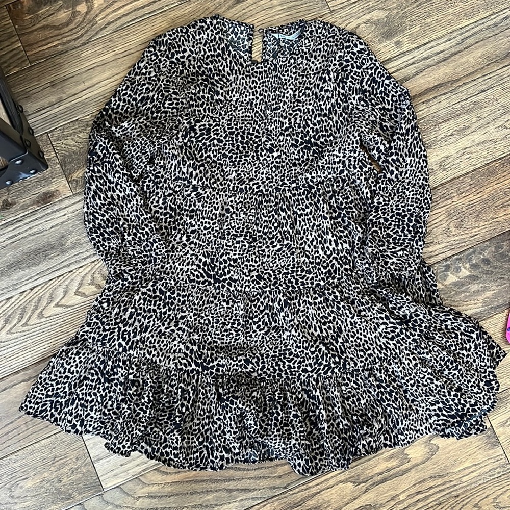 Zara dress